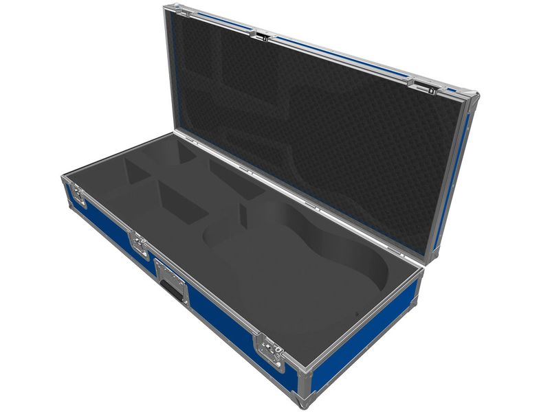 Ibanez F-300CS - Flightcase