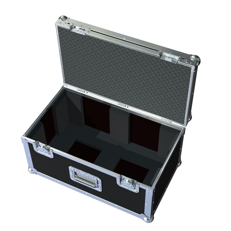 Korg MS20 - Flightcase